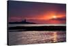 Coquet Island Sunrise-Mark Sunderland-Stretched Canvas