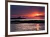 Coquet Island Sunrise-Mark Sunderland-Framed Photographic Print