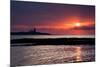 Coquet Island Sunrise-Mark Sunderland-Mounted Photographic Print