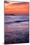 Coquet Island-Mark Sunderland-Mounted Photographic Print