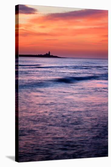 Coquet Island-Mark Sunderland-Stretched Canvas