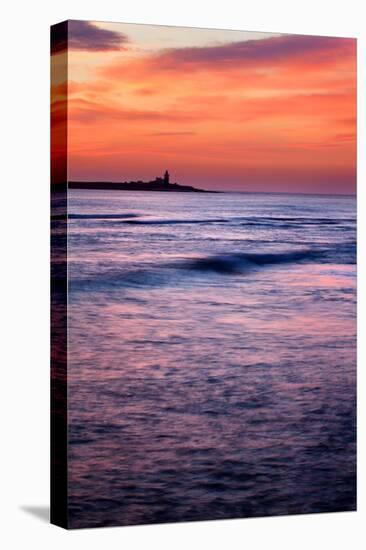 Coquet Island-Mark Sunderland-Stretched Canvas