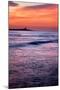 Coquet Island-Mark Sunderland-Mounted Photographic Print