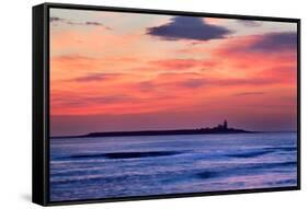 Coquet Island-Mark Sunderland-Framed Stretched Canvas