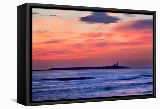 Coquet Island-Mark Sunderland-Framed Stretched Canvas