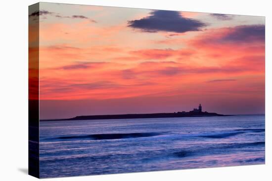 Coquet Island-Mark Sunderland-Stretched Canvas