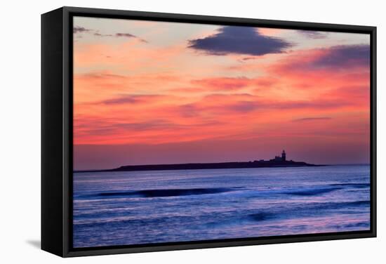 Coquet Island-Mark Sunderland-Framed Stretched Canvas