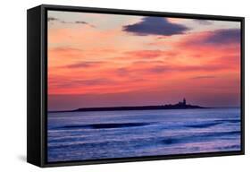 Coquet Island-Mark Sunderland-Framed Stretched Canvas