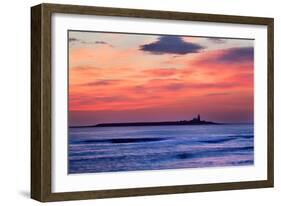 Coquet Island-Mark Sunderland-Framed Photographic Print