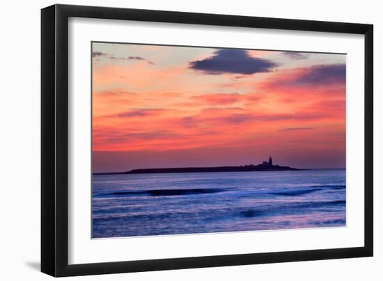 Coquet Island-Mark Sunderland-Framed Photographic Print