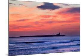 Coquet Island-Mark Sunderland-Mounted Photographic Print