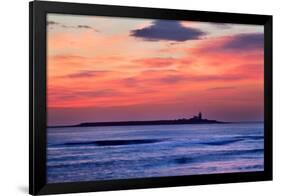 Coquet Island-Mark Sunderland-Framed Photographic Print