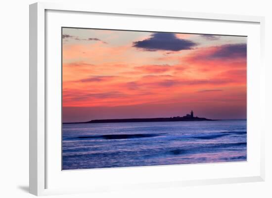 Coquet Island-Mark Sunderland-Framed Photographic Print