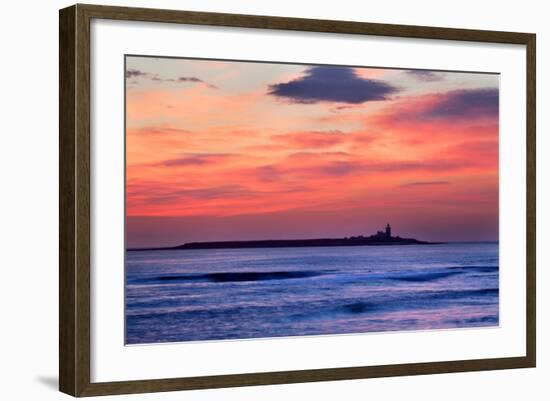 Coquet Island-Mark Sunderland-Framed Photographic Print