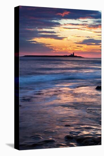 Coquet Island-Mark Sunderland-Stretched Canvas