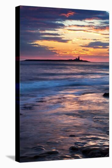 Coquet Island-Mark Sunderland-Stretched Canvas