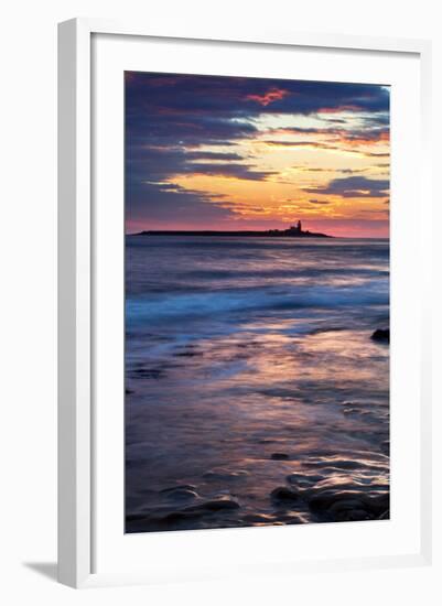 Coquet Island-Mark Sunderland-Framed Photographic Print
