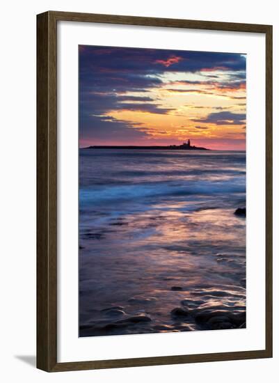 Coquet Island-Mark Sunderland-Framed Photographic Print