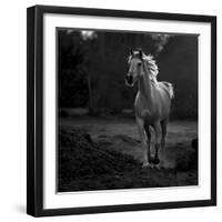 Coquetry-Abdullah Al-Saeed-Framed Photographic Print