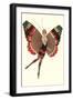 Coquette Lady as Butterfly-null-Framed Art Print