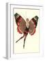 Coquette Lady as Butterfly-null-Framed Art Print