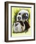 Coquette-Barbara Keith-Framed Giclee Print