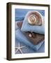 Coquillage et Eponges-Catherine Beyler-Framed Art Print