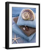 Coquillage et Eponges-Catherine Beyler-Framed Art Print