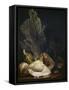 Coquillages et Madreposes-Antoine Berjon-Framed Stretched Canvas