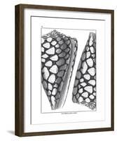 Coquillages Noir I-Maria Mendez-Framed Giclee Print