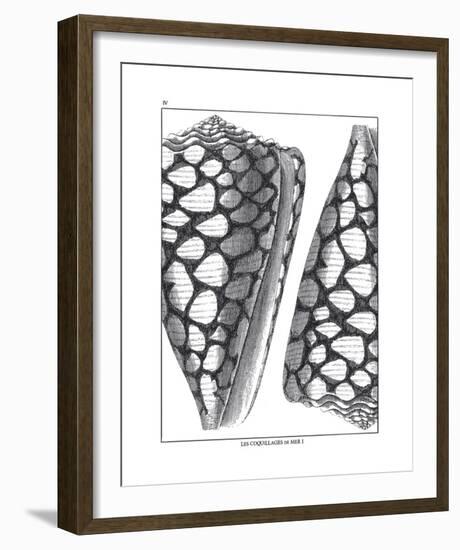 Coquillages Noir I-Maria Mendez-Framed Giclee Print