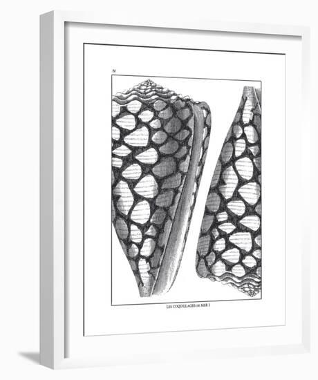 Coquillages Noir I-Maria Mendez-Framed Giclee Print