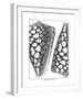 Coquillages Noir I-Maria Mendez-Framed Giclee Print