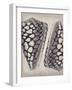 Coquille I-Maria Mendez-Framed Giclee Print