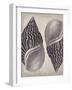 Coquille II-Maria Mendez-Framed Giclee Print