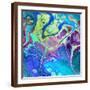 Brown Frame
