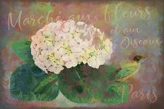 Marche? Aux Fleur - Flower Market-Cora Niele-Giclee Print