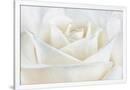 Gramercy White