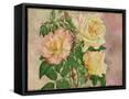 Framed Canvas