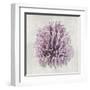 Coral Amethyst I-Caroline Kelly-Framed Art Print