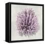 Coral Amethyst I-Caroline Kelly-Framed Stretched Canvas