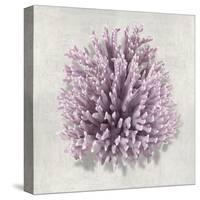 Coral Amethyst I-Caroline Kelly-Stretched Canvas