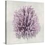 Coral Amethyst I-Caroline Kelly-Stretched Canvas