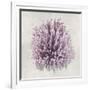 Coral Amethyst I-Caroline Kelly-Framed Art Print