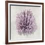 Coral Amethyst I-Caroline Kelly-Framed Art Print