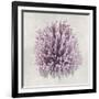 Coral Amethyst I-Caroline Kelly-Framed Art Print