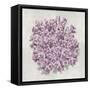 Coral Amethyst II-Caroline Kelly-Framed Stretched Canvas