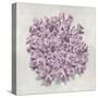 Coral Amethyst II-Caroline Kelly-Stretched Canvas