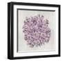 Coral Amethyst II-Caroline Kelly-Framed Art Print