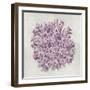 Coral Amethyst II-Caroline Kelly-Framed Art Print